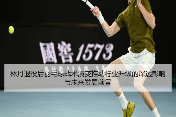 林丹退役后羽毛球战术演变推动行业升级的深远影响与未来发展前景
